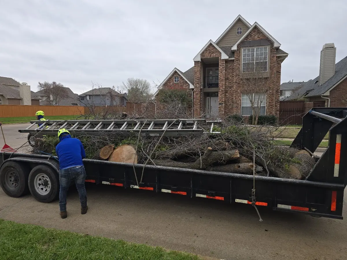 Expert Tree Fertilization with proper safety equipment in Fairland
